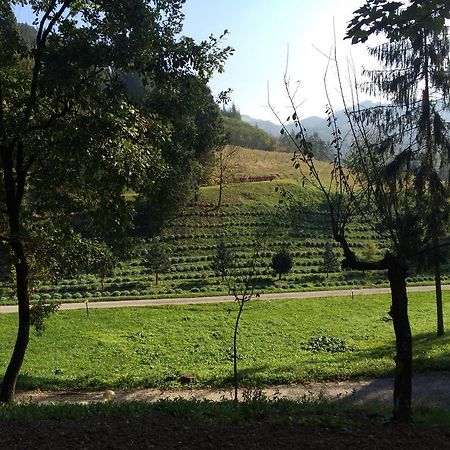 Casa Di Otello Monte San Giovanni  Ngoại thất bức ảnh